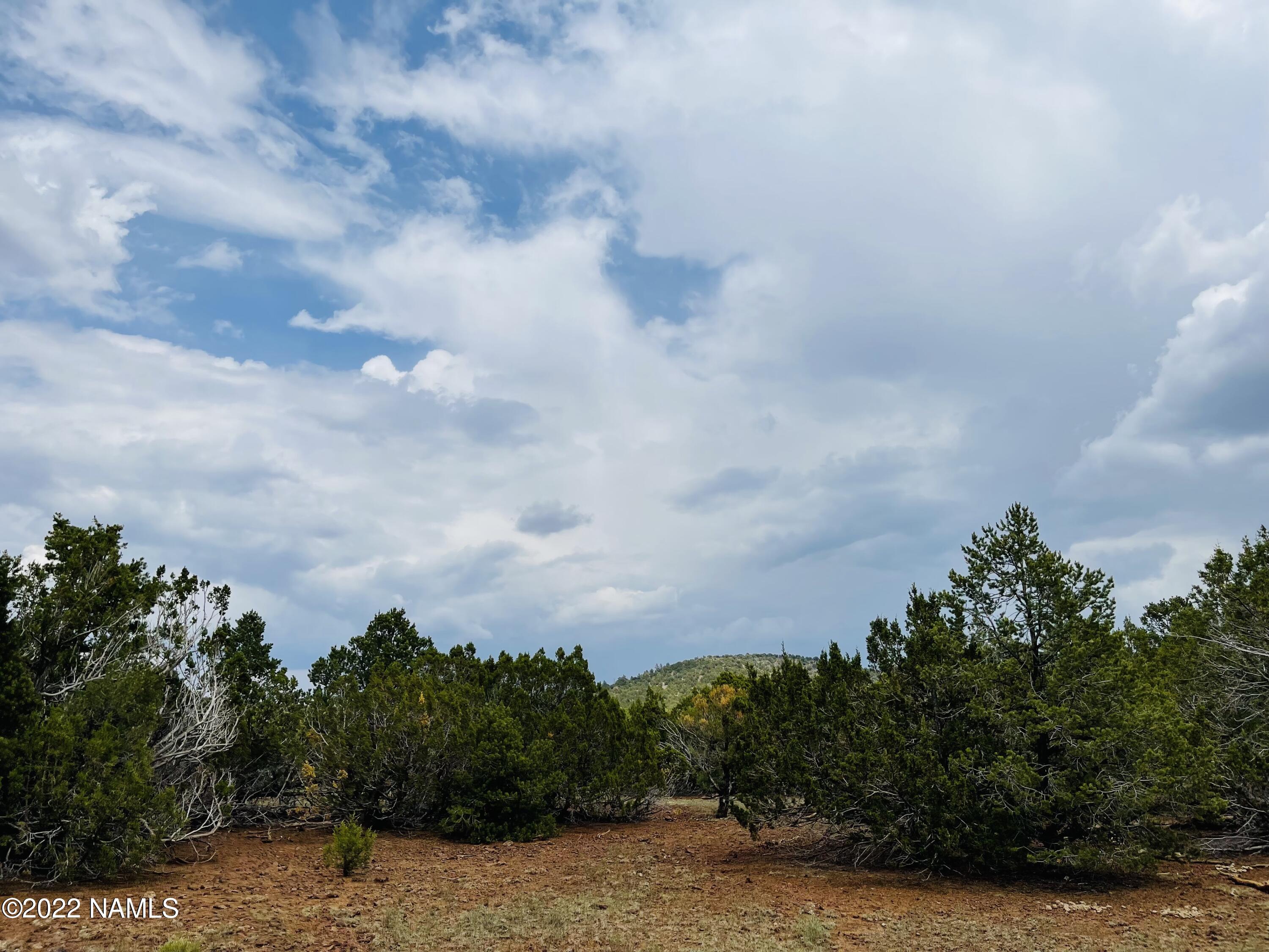 10524 North Falcon Ridge Road Williams, AZ 86046 - Photo 15 of 23 10524 N Falcon Ridge Rd Photo 13
