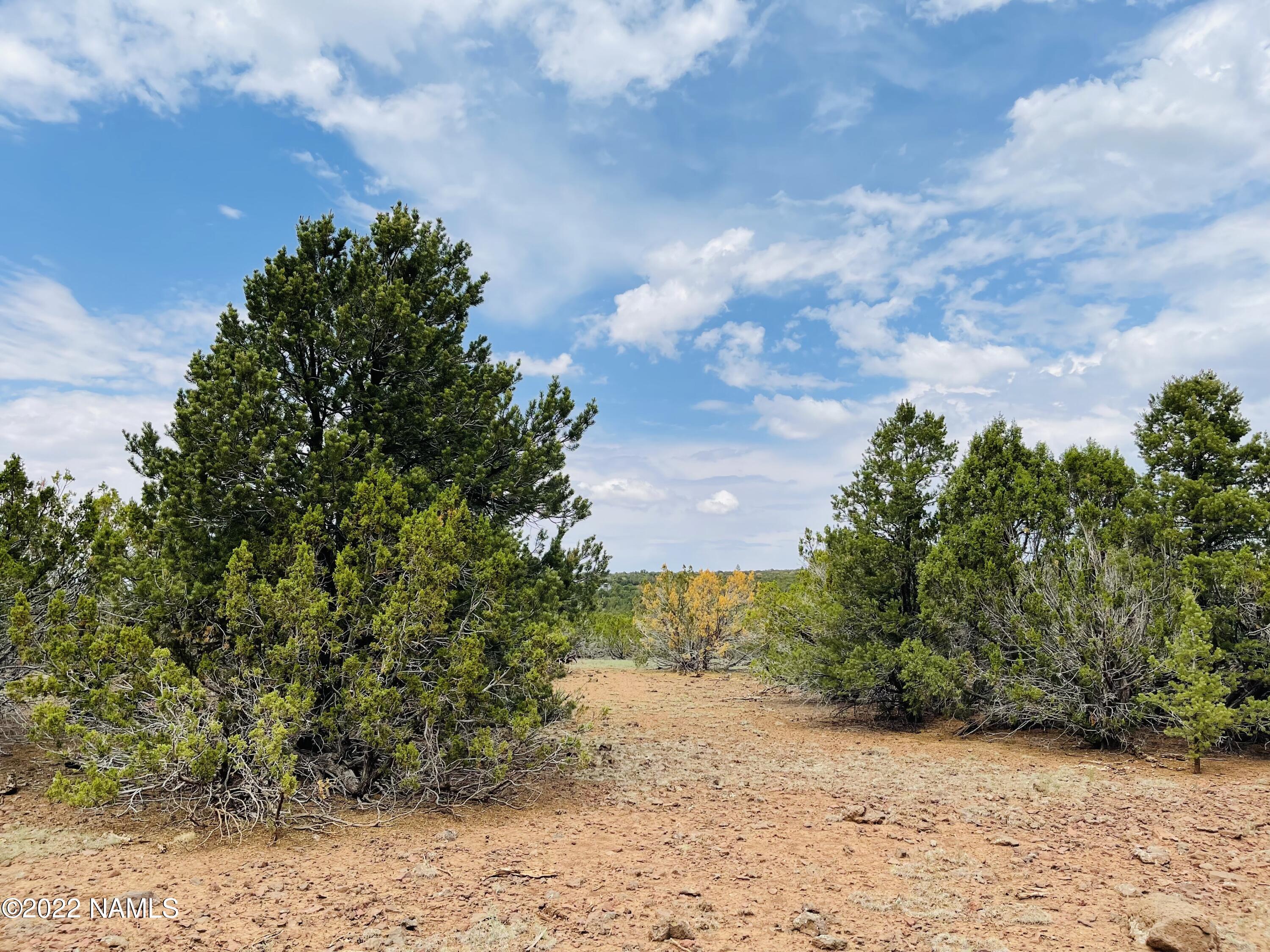 10524 North Falcon Ridge Road Williams, AZ 86046 - Photo 16 of 23 10524 N Falcon Ridge Rd Photo 14