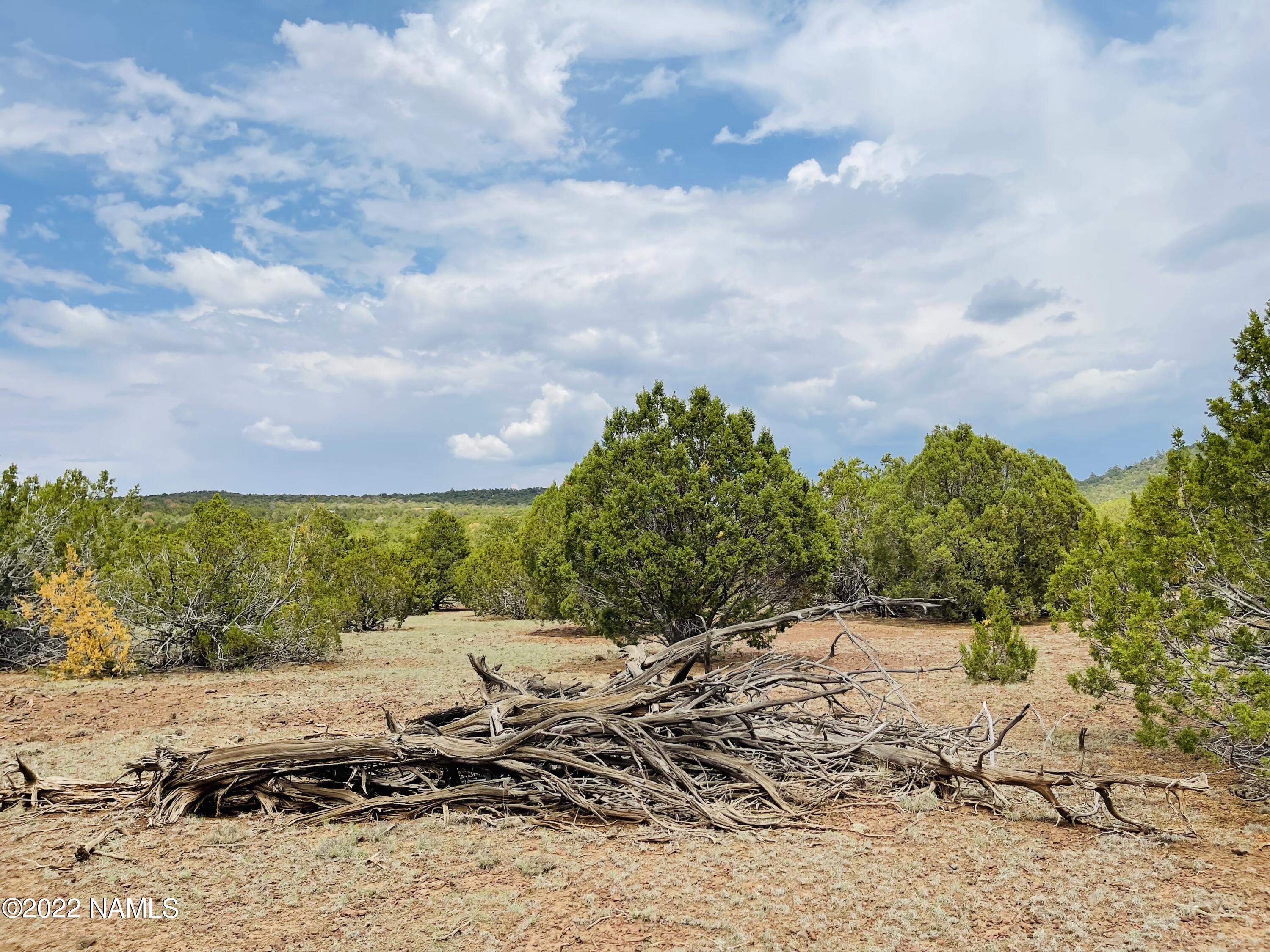 10524 North Falcon Ridge Road Williams, AZ 86046 - Photo 17 of 23 10524 N Falcon Ridge Rd Photo 15