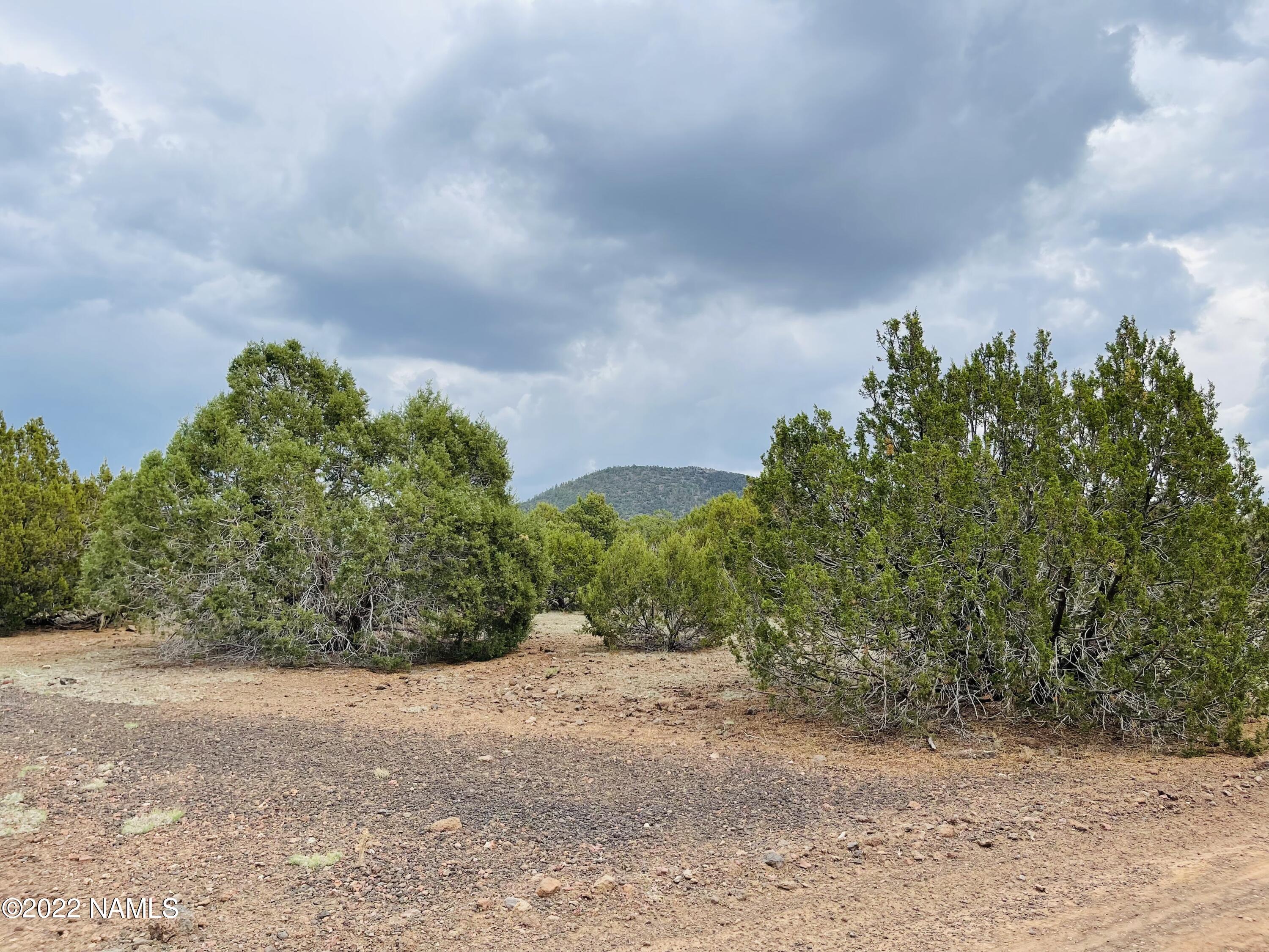 10524 North Falcon Ridge Road Williams, AZ 86046 - Photo 18 of 23 10524 N Falcon Ridge Rd Photo 18