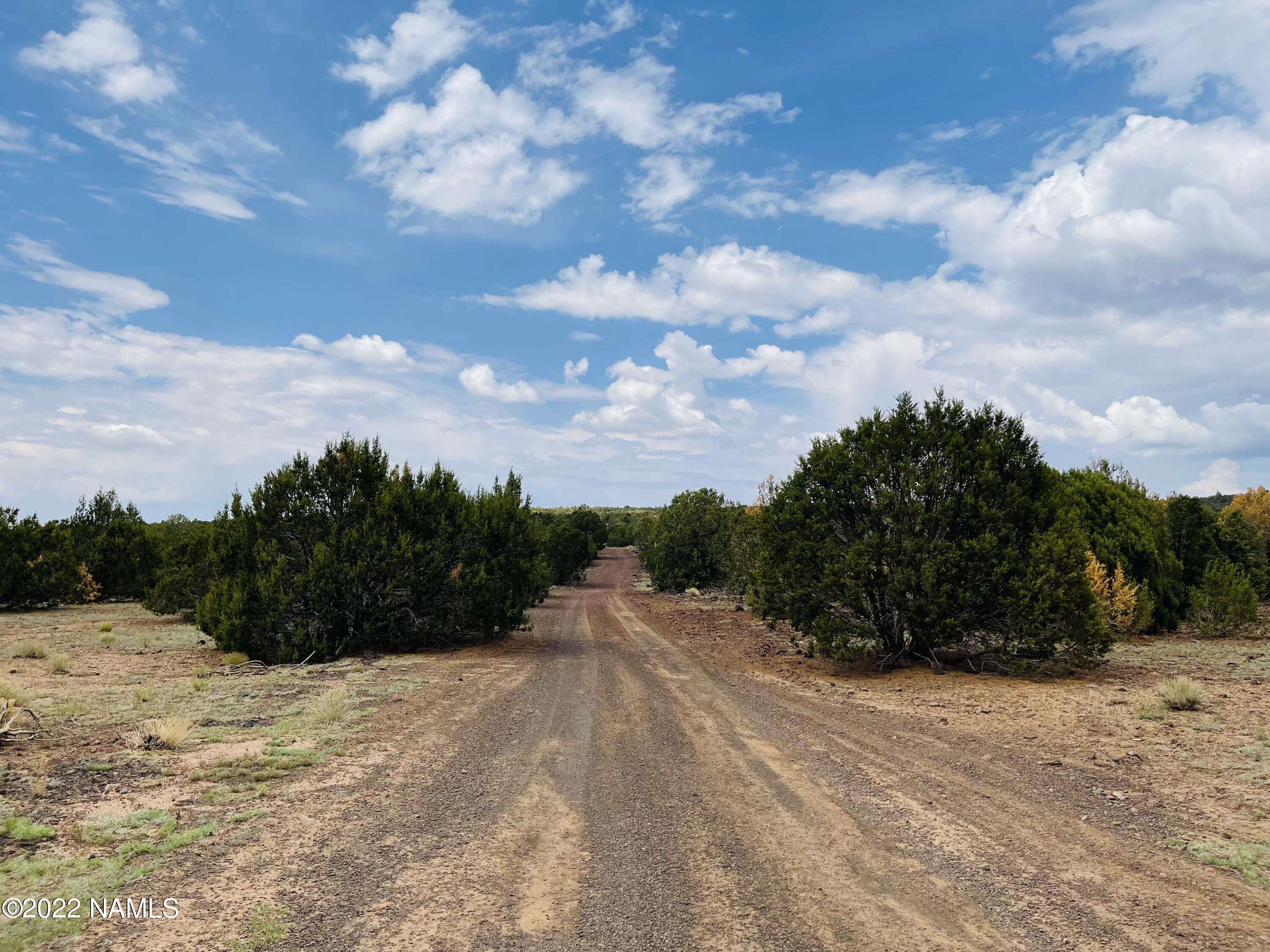 10524 North Falcon Ridge Road Williams, AZ 86046 - Photo 19 of 23 10524 N Falcon Ridge Rd Photo 19