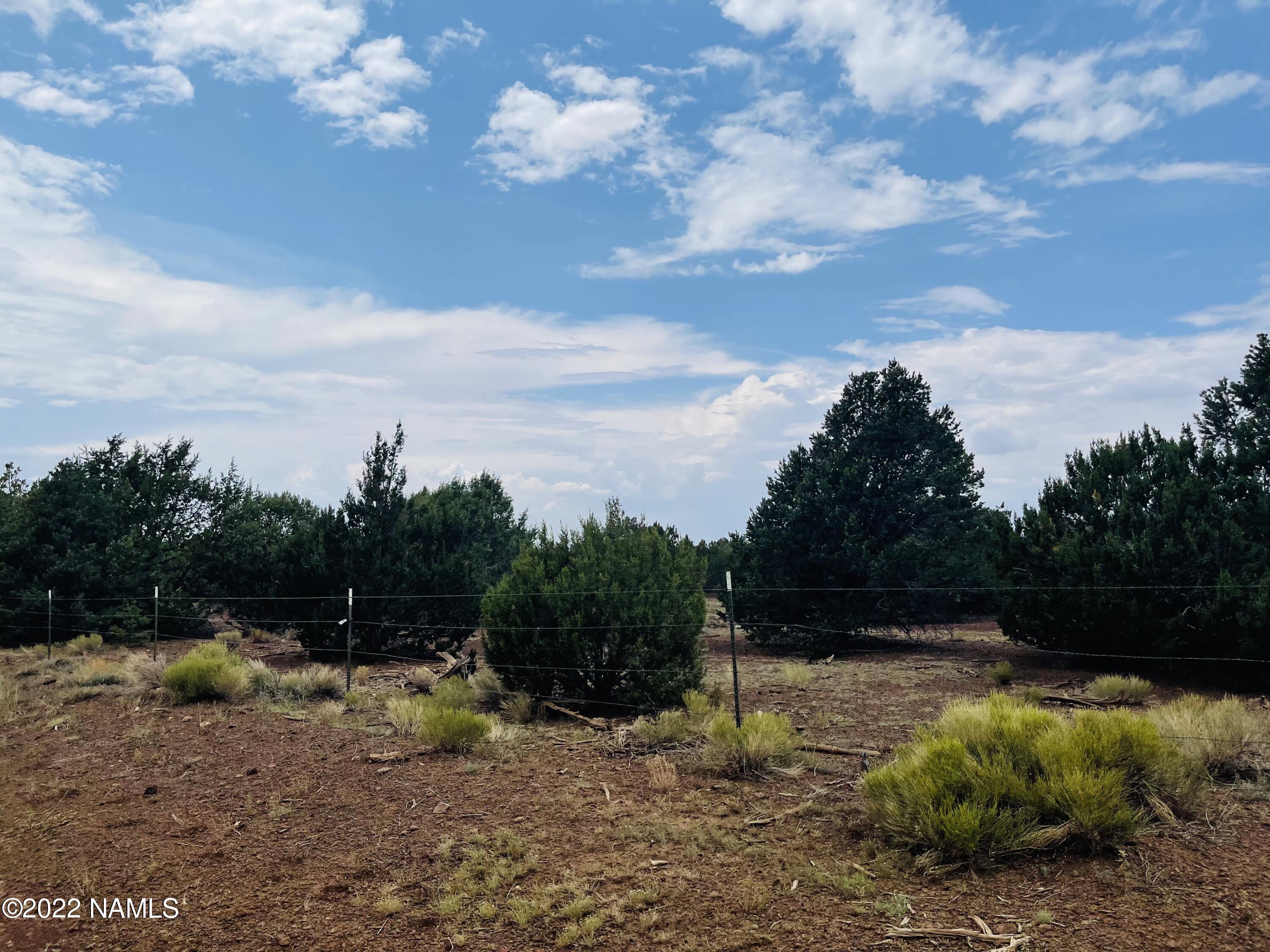 10524 North Falcon Ridge Road Williams, AZ 86046 - Photo 20 of 23 10524 N Falcon Ridge Rd Photo 20