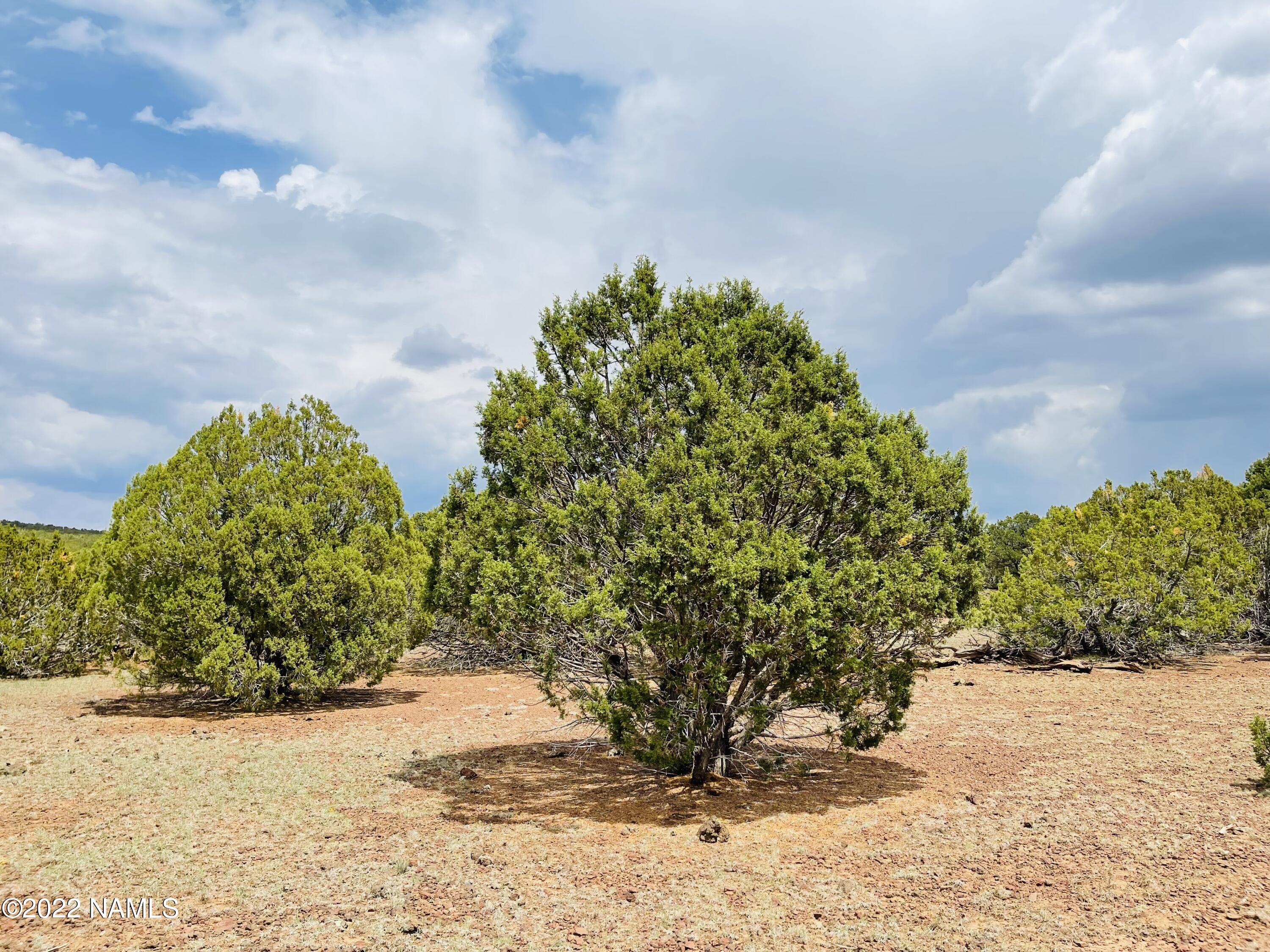 10524 North Falcon Ridge Road Williams, AZ 86046 - Photo 2 of 23 10524 N Falcon Ridge Rd Photo 16