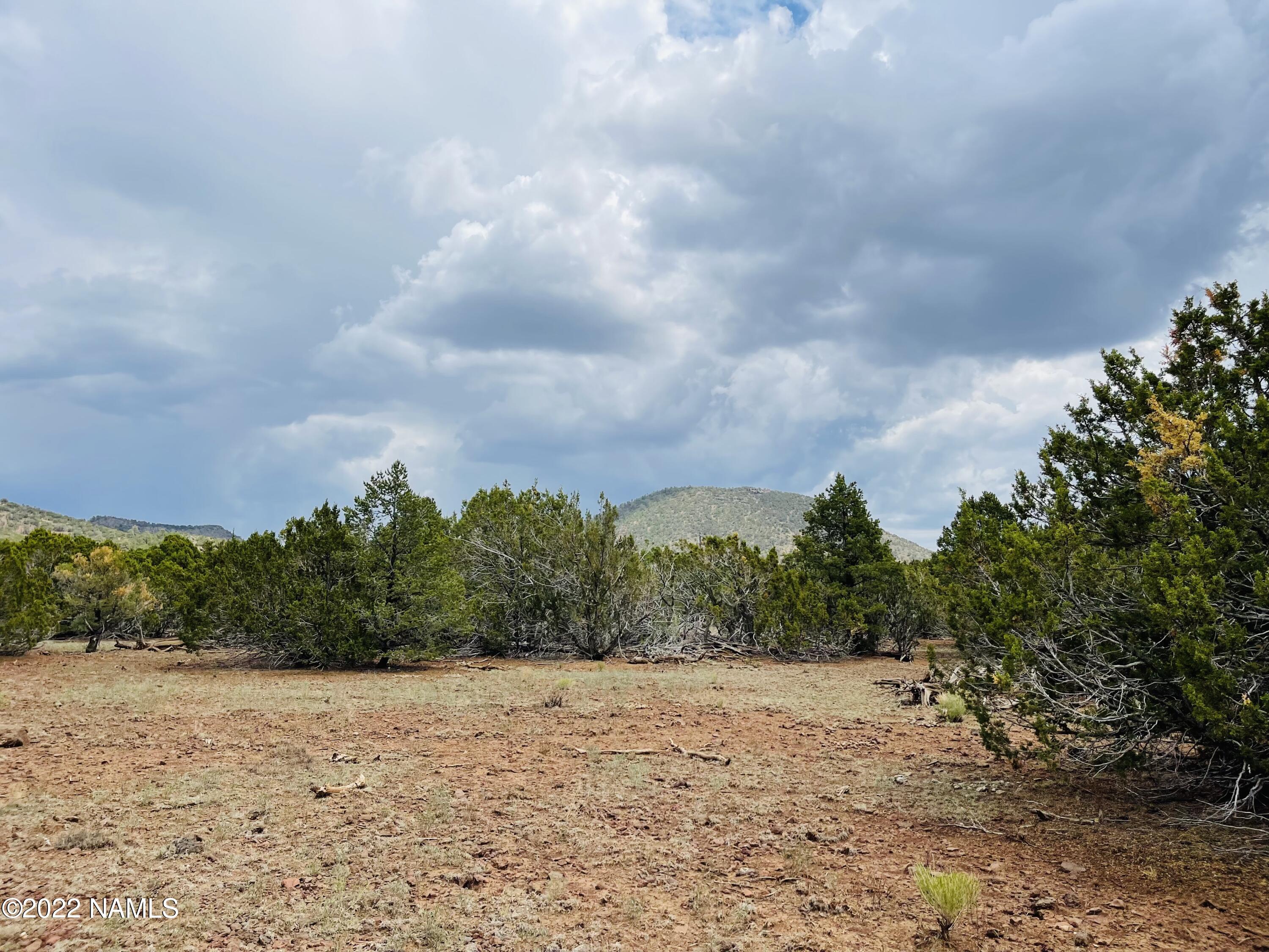 10524 North Falcon Ridge Road Williams, AZ 86046 - Photo 5 of 23 10524 N Falcon Ridge Rd Photo 11
