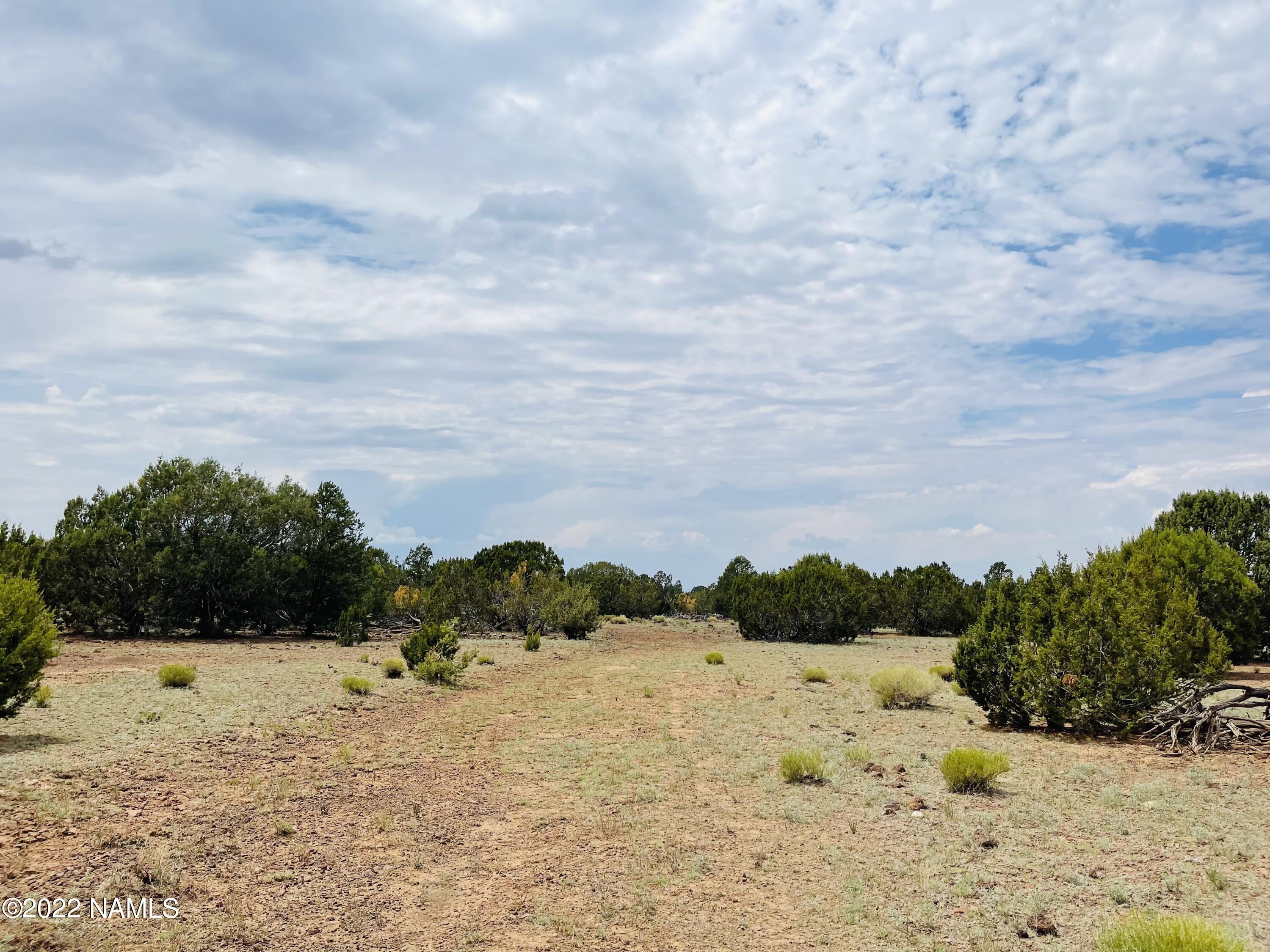 10524 North Falcon Ridge Road Williams, AZ 86046 - Photo 6 of 23 10524 N Falcon Ridge Rd Photo 2