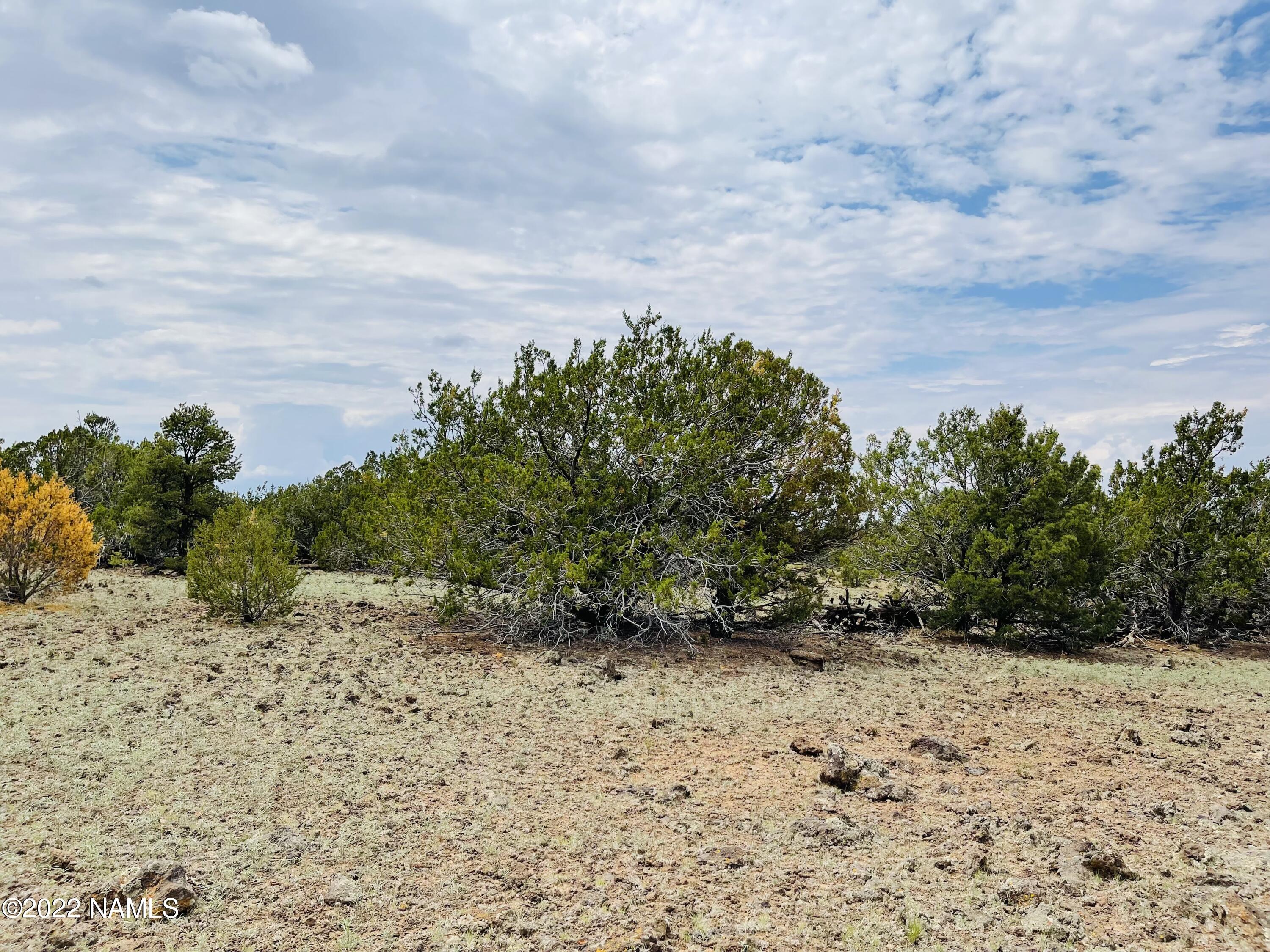 10524 North Falcon Ridge Road Williams, AZ 86046 - Photo 7 of 23 10524 N Falcon Ridge Rd Photo 9