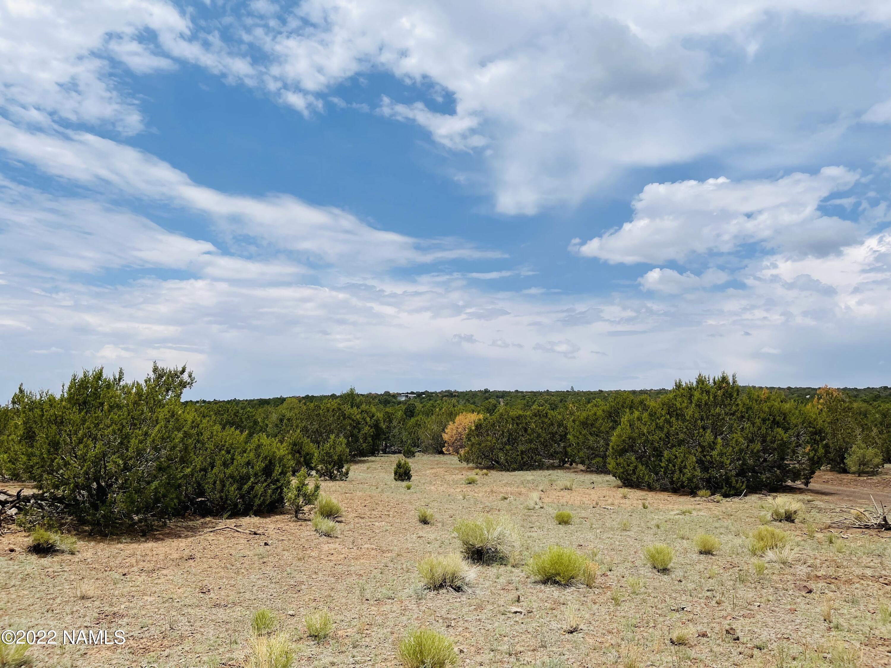 10524 North Falcon Ridge Road Williams, AZ 86046 - Photo 8 of 23 10524 N Falcon Ridge Rd Photo 3