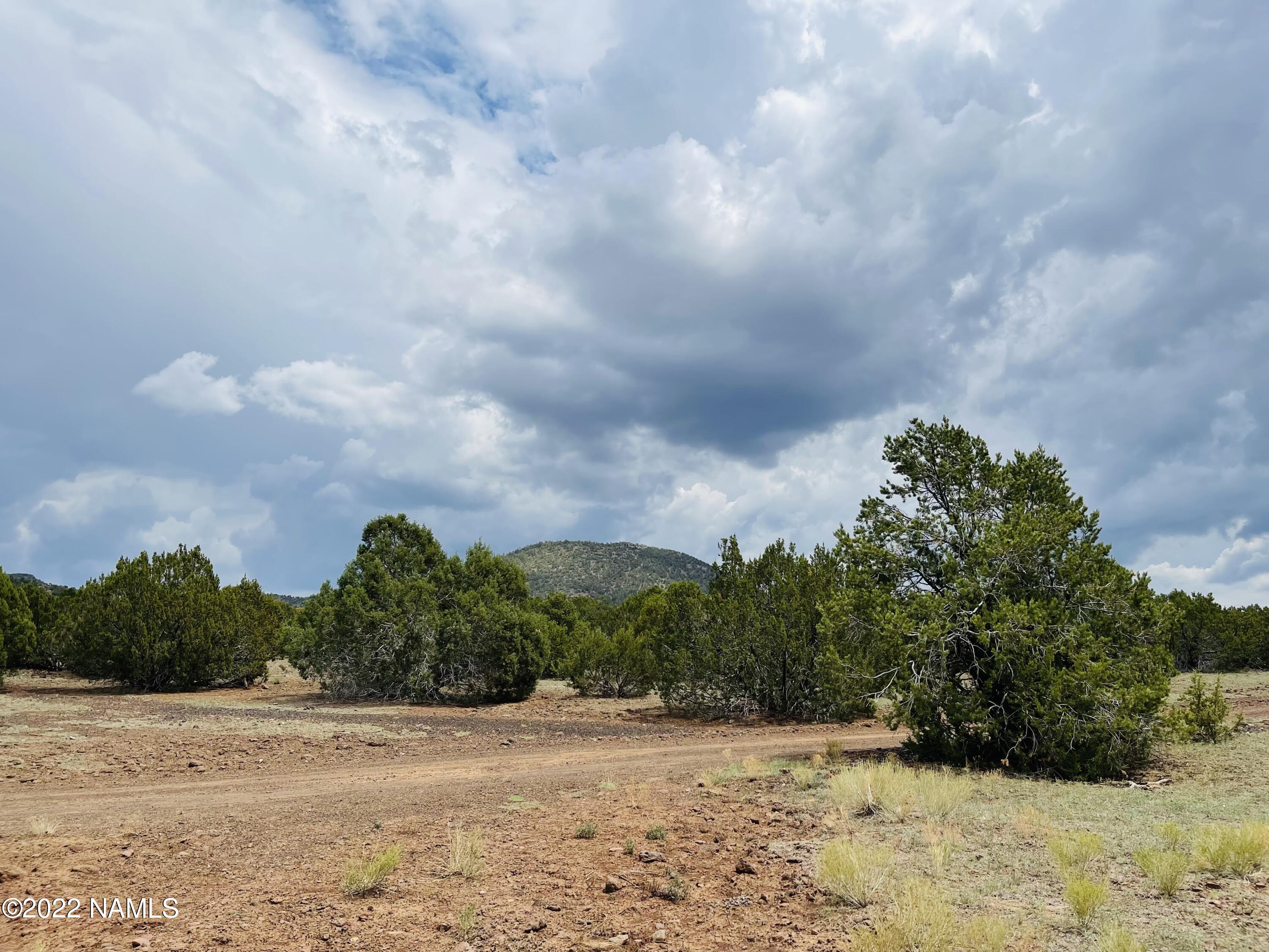 10524 North Falcon Ridge Road Williams, AZ 86046 - Photo 9 of 23 10524 N Falcon Ridge Rd Photo 4