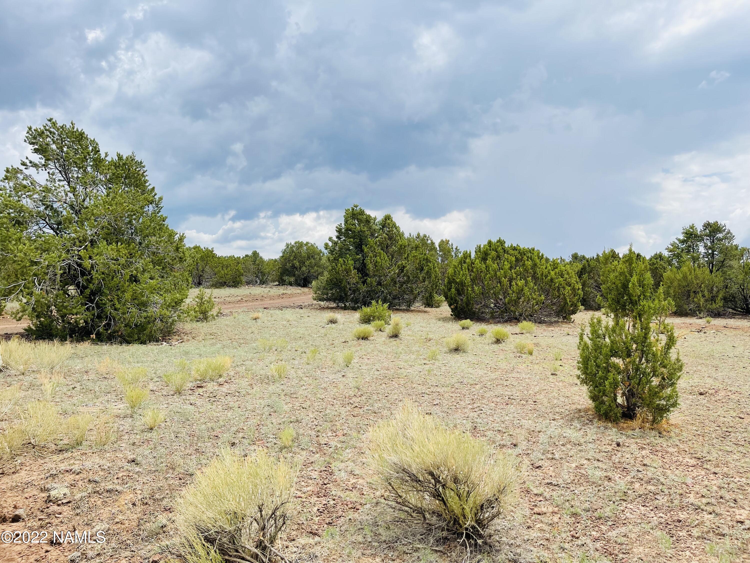 10524 North Falcon Ridge Road Williams, AZ 86046 - Photo 10 of 23 10524 N Falcon Ridge Rd Photo 5