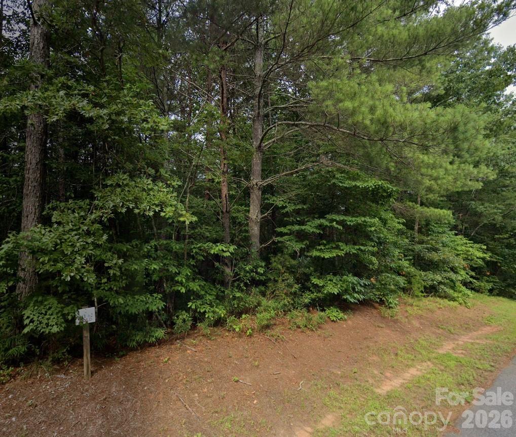 0 Collette Ridge Circle, Unit 62 Collettsville, NC 28611 - Photo 2 of 2 a view of a forest with trees and bushes