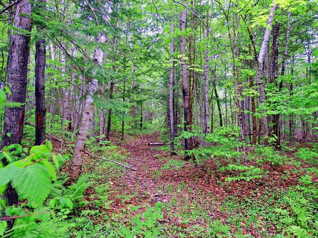 Lot 6-2 Bangor Road Linneus, ME 04730 - Photo 18 of 21 Photo