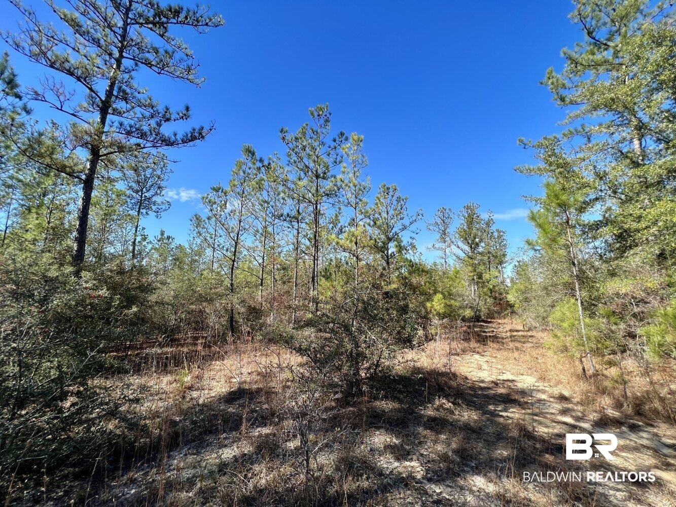 0 C C Road Chunchula, AL 36521 - Photo 6 of 27