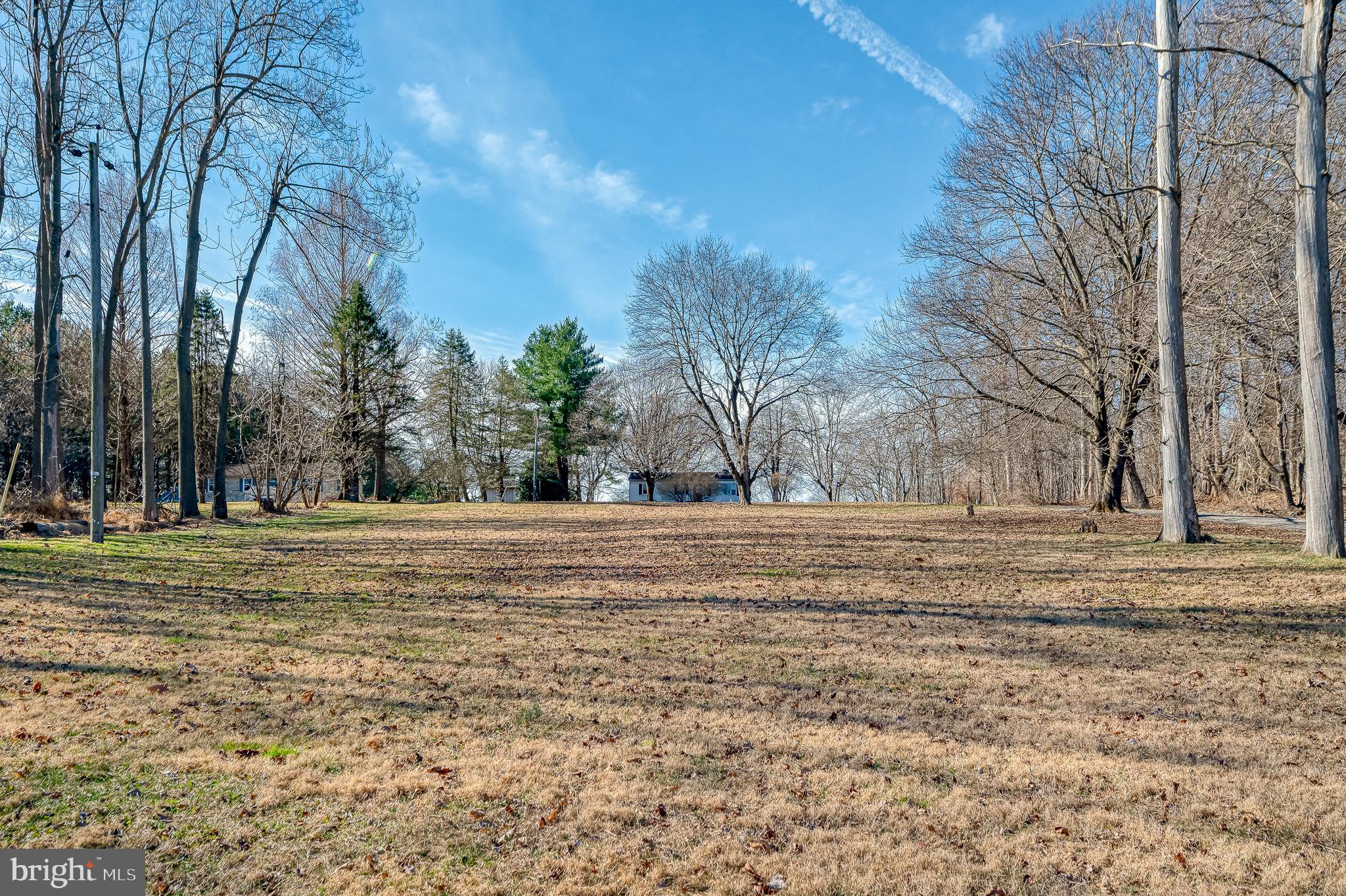 a view of dirt yard with large trees