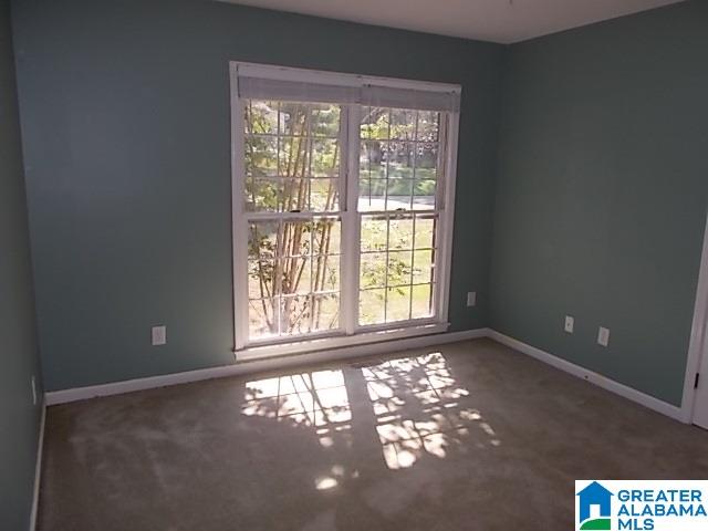 376 Timber Trail Chelsea, AL 35043 - Photo 15 of 35 Gallery Image 15