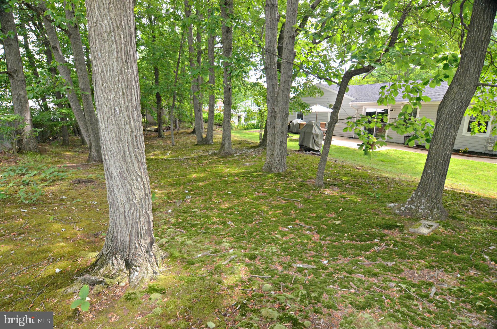 12200 Cedarbrook Lane Laurel, MD 20708 - Photo 47 of 48 Gallery Image 47