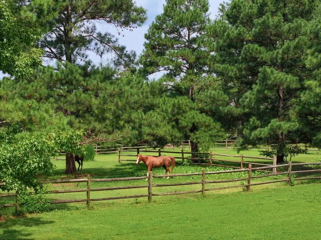 a view of a backyard with sitting area