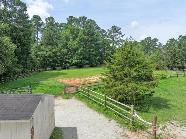 a view of a park with a tree in the background