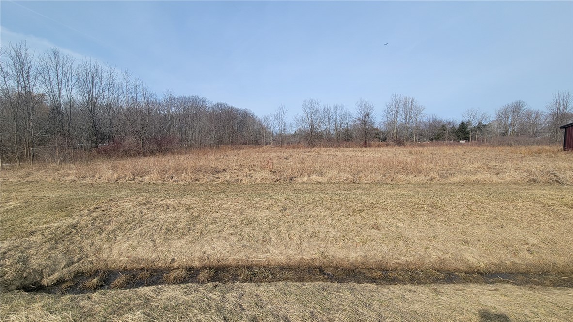 Lake Road Ransomville, NY 14131 - Photo 11 of 11