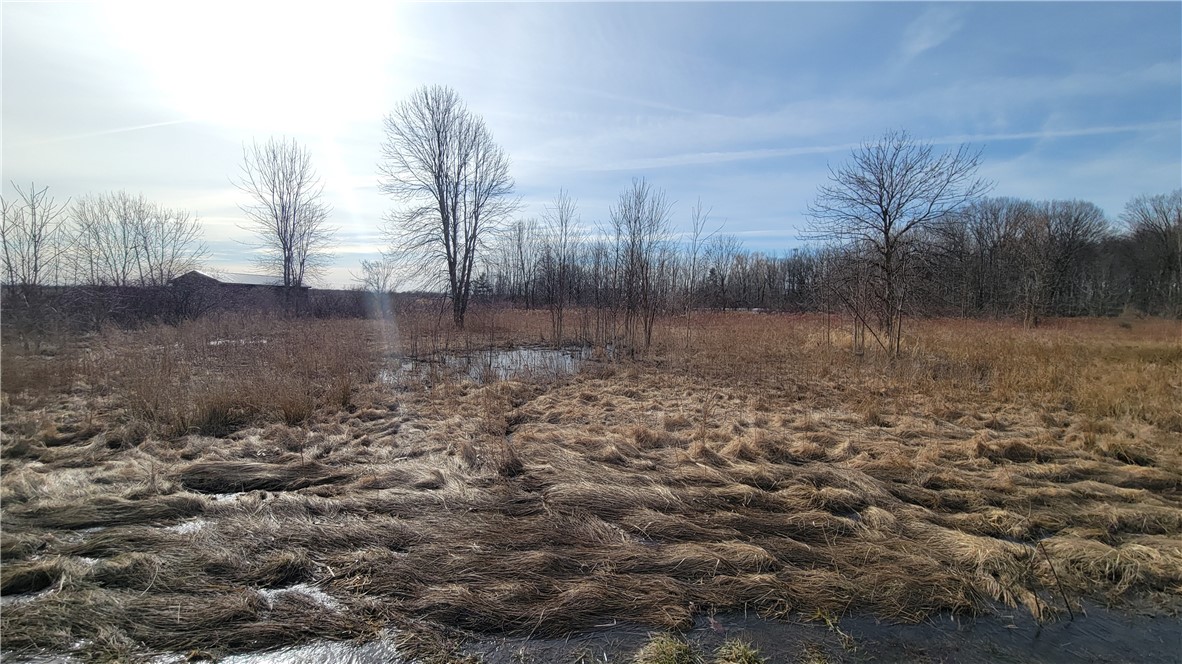 Lake Road Ransomville, NY 14131 - Photo 3 of 11