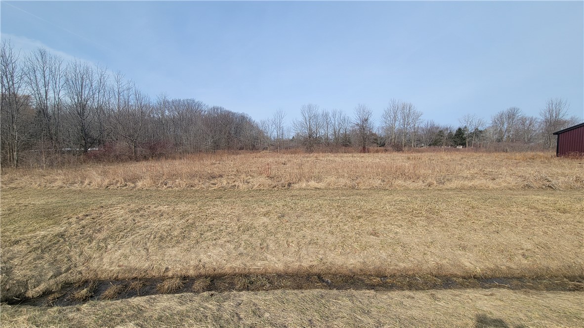 Lake Road Ransomville, NY 14131 - Photo 5 of 11