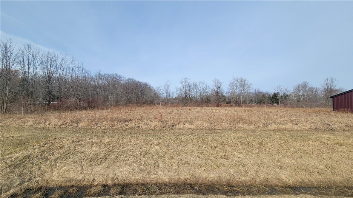 Lake Road Ransomville, NY 14131 - Photo 6 of 11