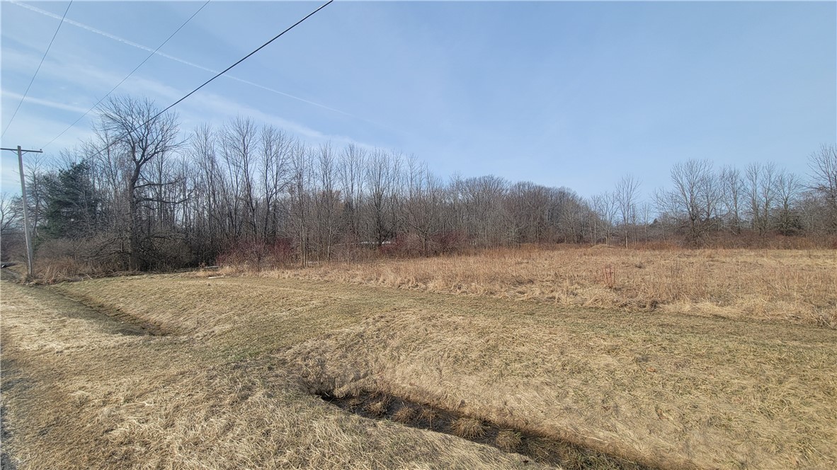 Lake Road Ransomville, NY 14131 - Photo 7 of 11