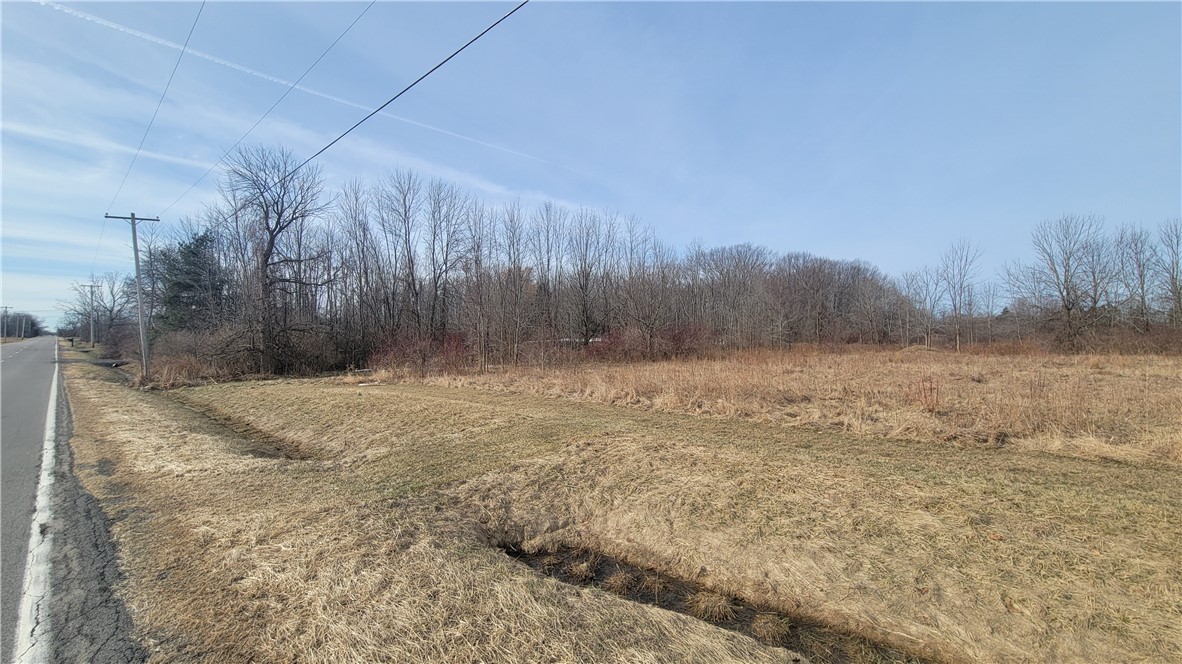 Lake Road Ransomville, NY 14131 - Photo 8 of 11