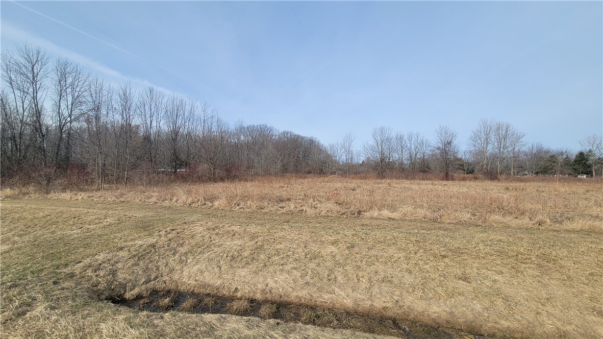 Lake Road Ransomville, NY 14131 - Photo 9 of 11