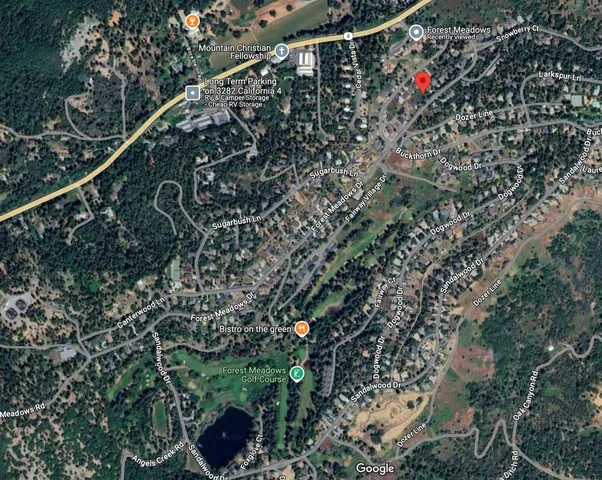 a picture of red tree