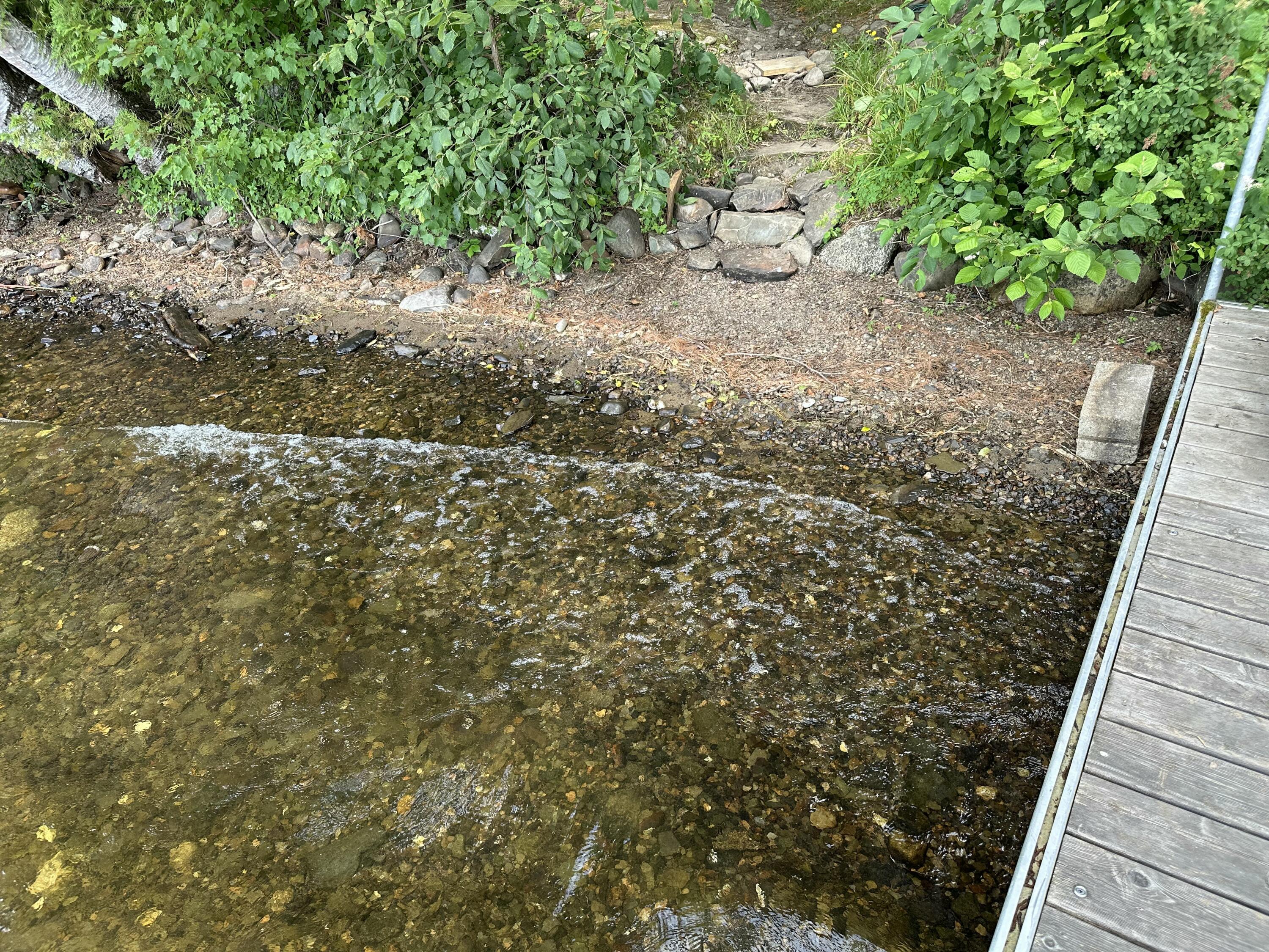 M40-l13-7 Mallard Road Madison, ME 04950 - Photo 13 of 14 IMG_0300