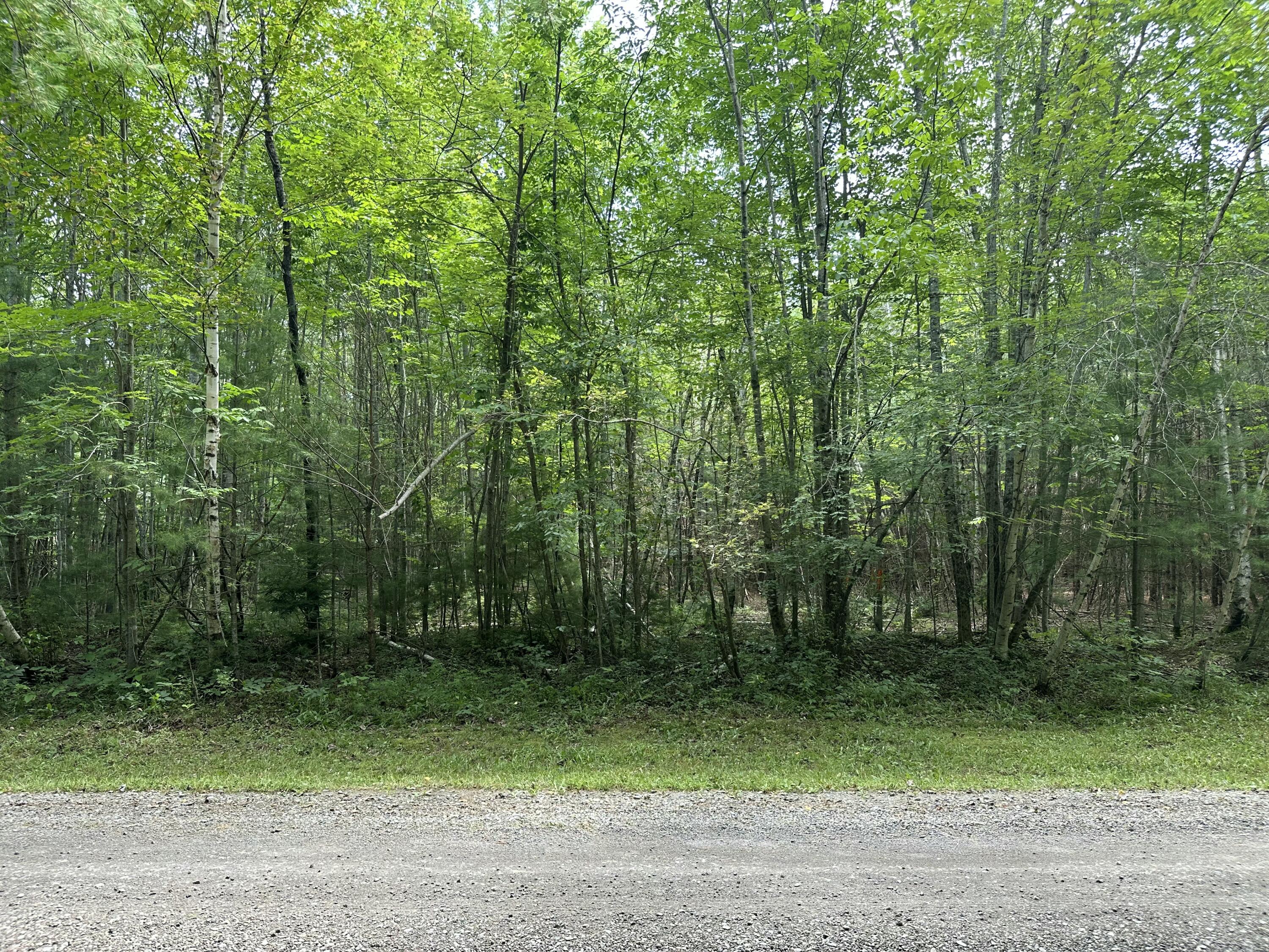 M40-l13-7 Mallard Road Madison, ME 04950 - Photo 4 of 14 IMG_0285