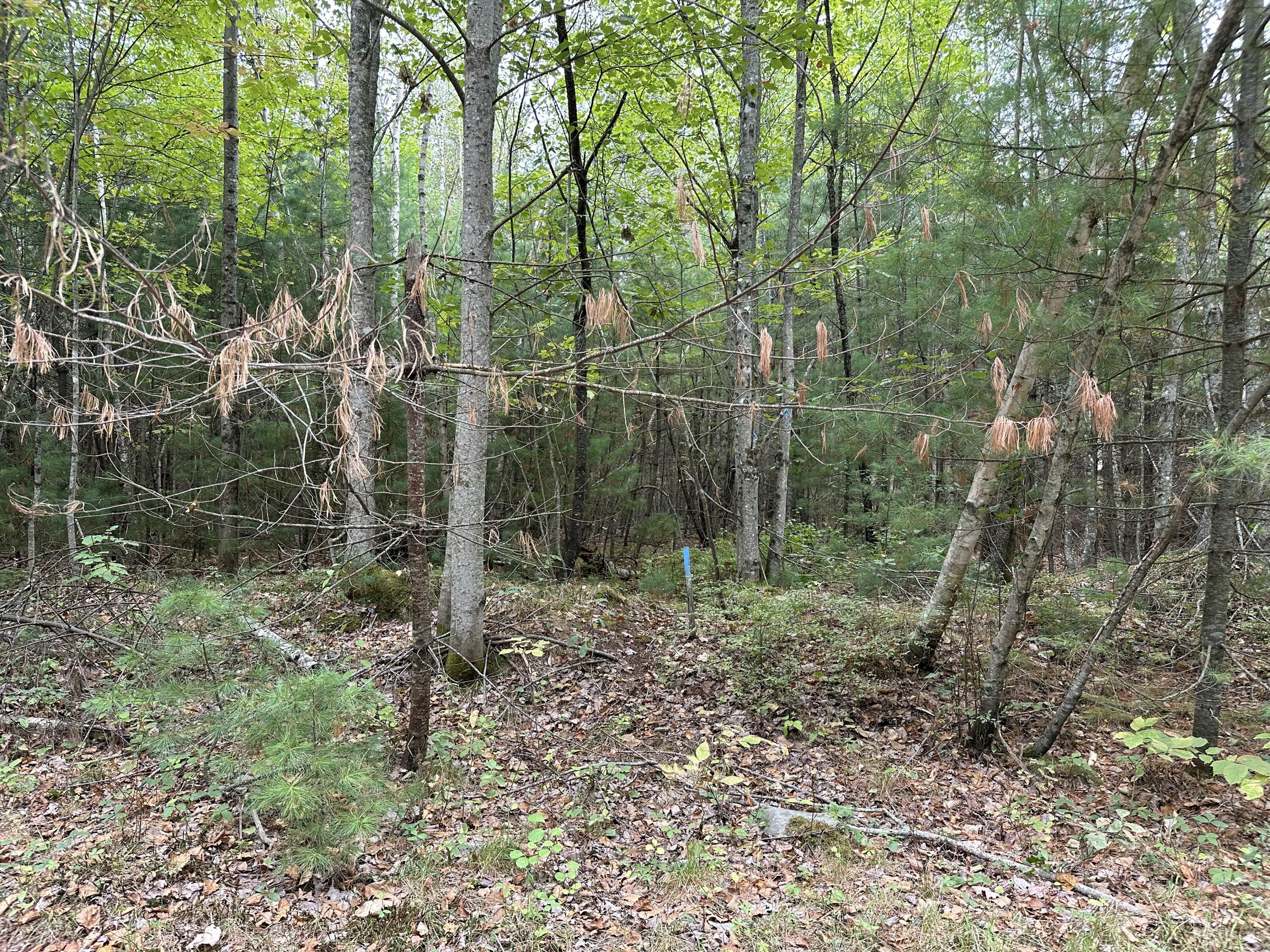 M40-l13-7 Mallard Road Madison, ME 04950 - Photo 7 of 14 IMG_1158