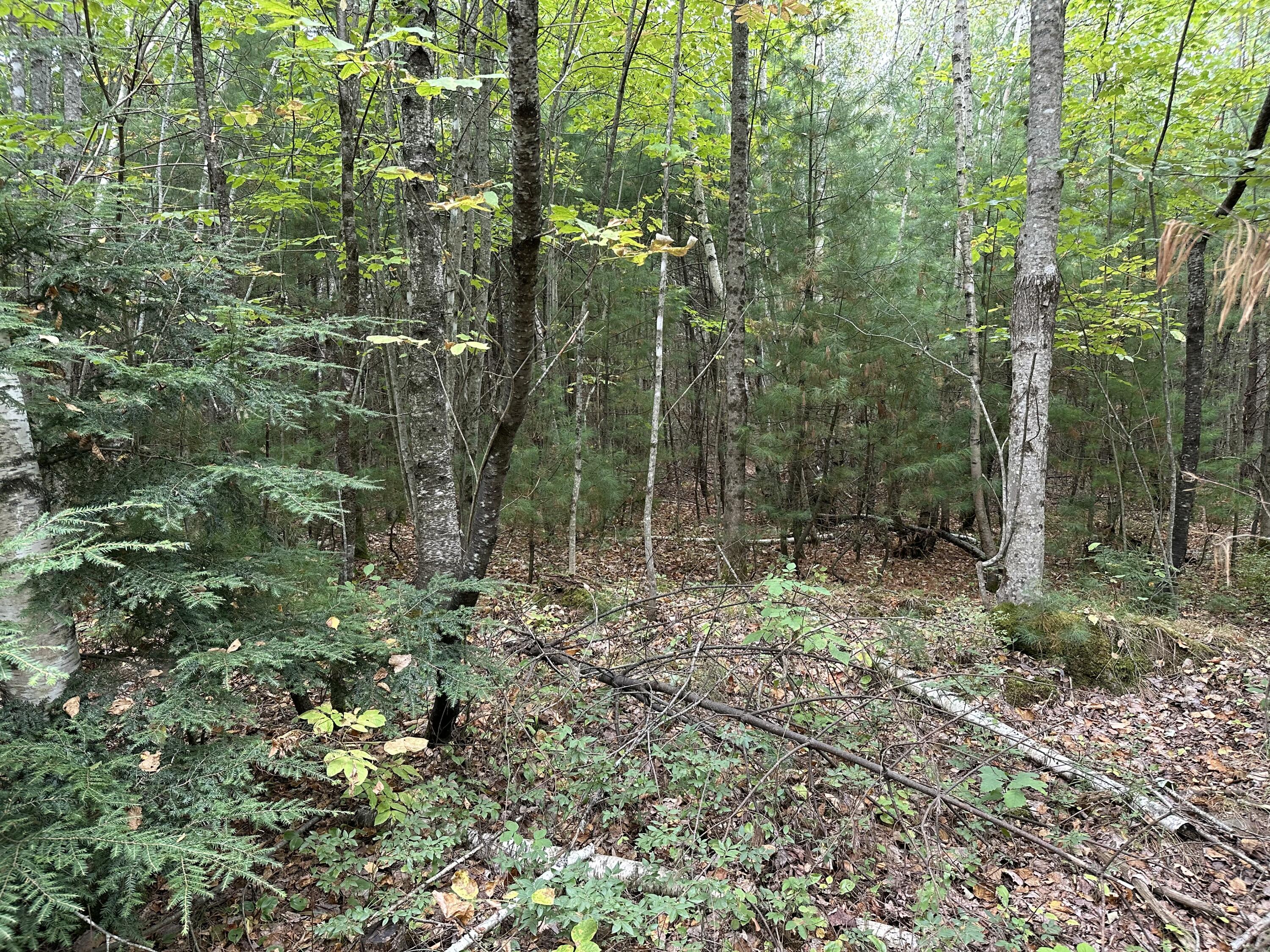 M40-l13-7 Mallard Road Madison, ME 04950 - Photo 8 of 14 IMG_1160