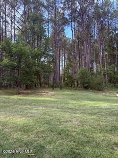 645 Bent Knee Road Keysville, GA 30816 - Photo 19 of 27 Backyard