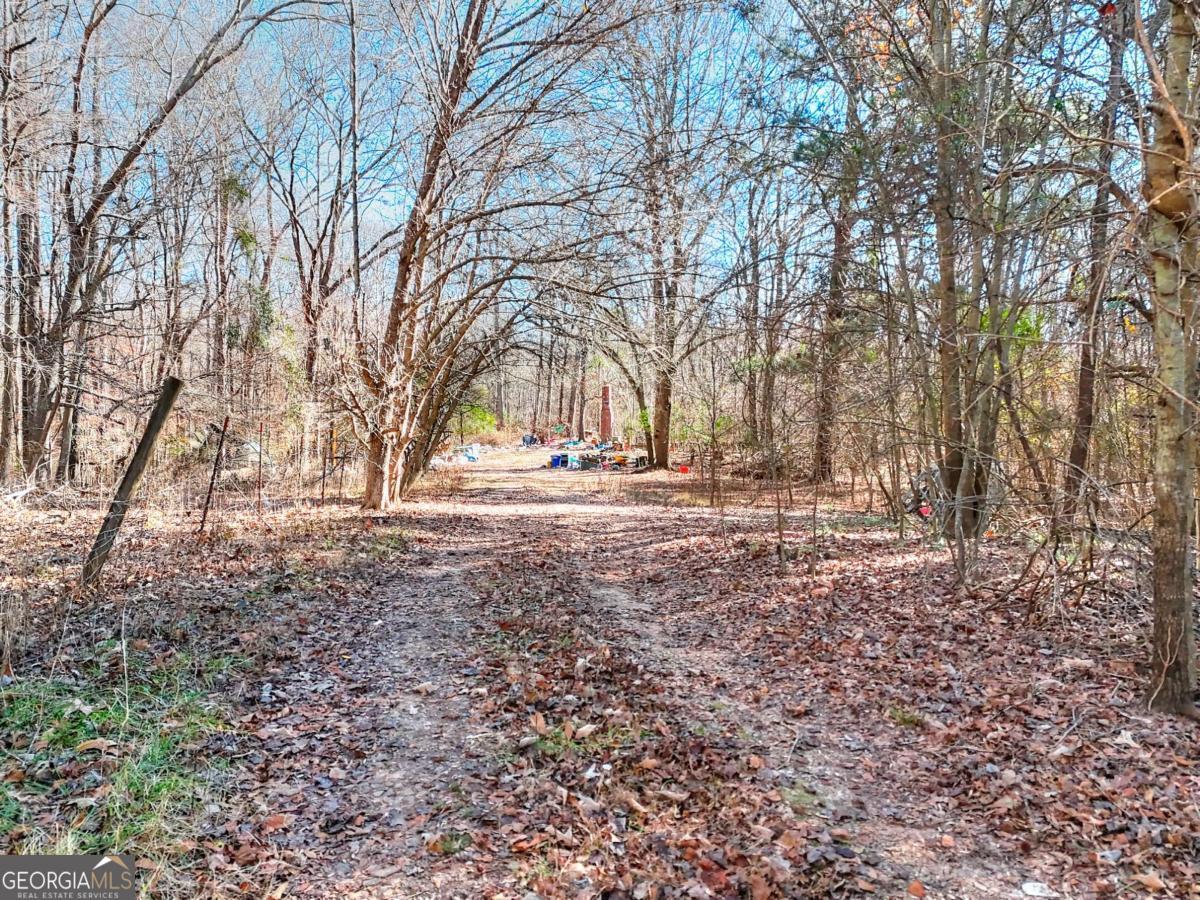 1268 Johnson Mill Road Jefferson, GA 30549 - Photo 13 of 28 a view of dirt yard with a large tree