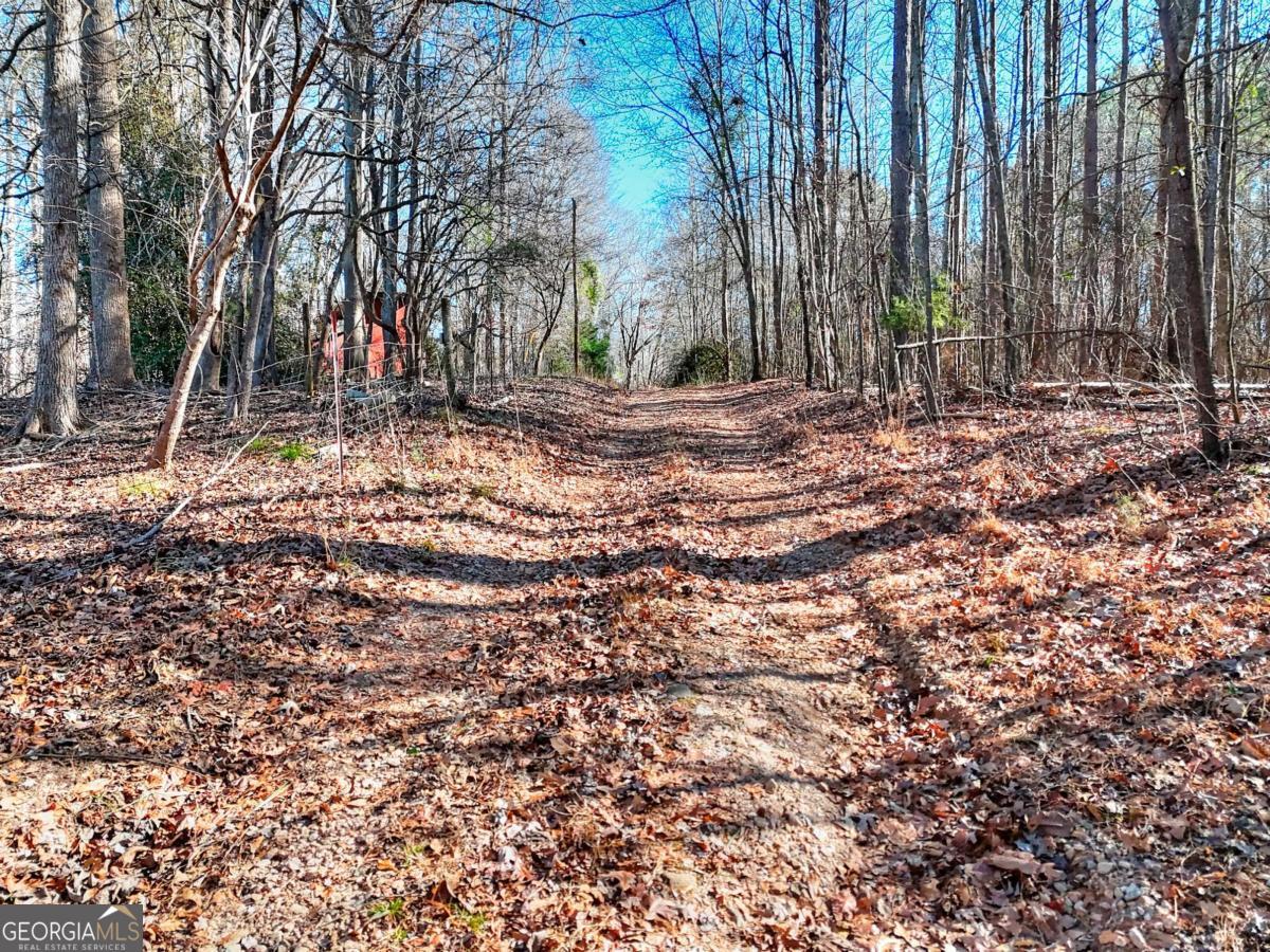 1268 Johnson Mill Road Jefferson, GA 30549 - Photo 15 of 28 a backyard of a house with lots of green space