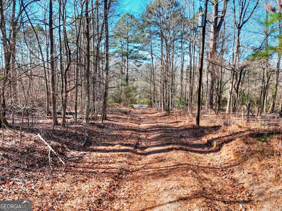 1268 Johnson Mill Road Jefferson, GA 30549 - Photo 16 of 28 a view of yard with trees