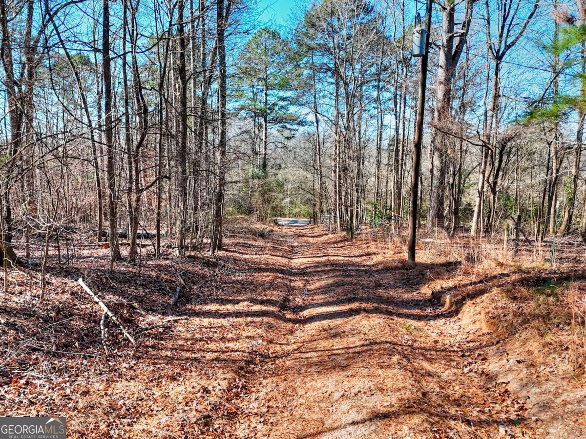 1268 Johnson Mill Road Jefferson, GA 30549 - Photo 17 of 28 a view of backyard space with trees