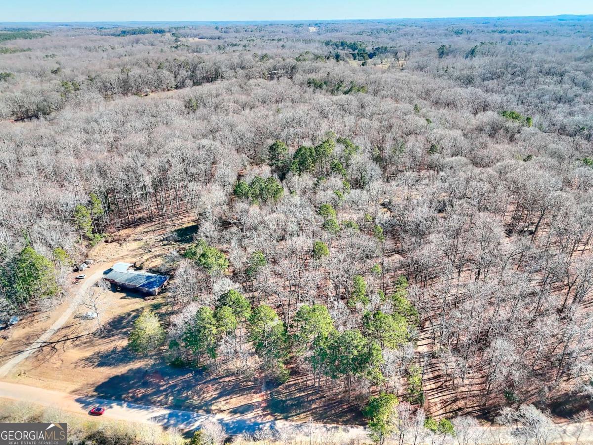 1268 Johnson Mill Road Jefferson, GA 30549 - Photo 20 of 28 a view of a dry yard with trees