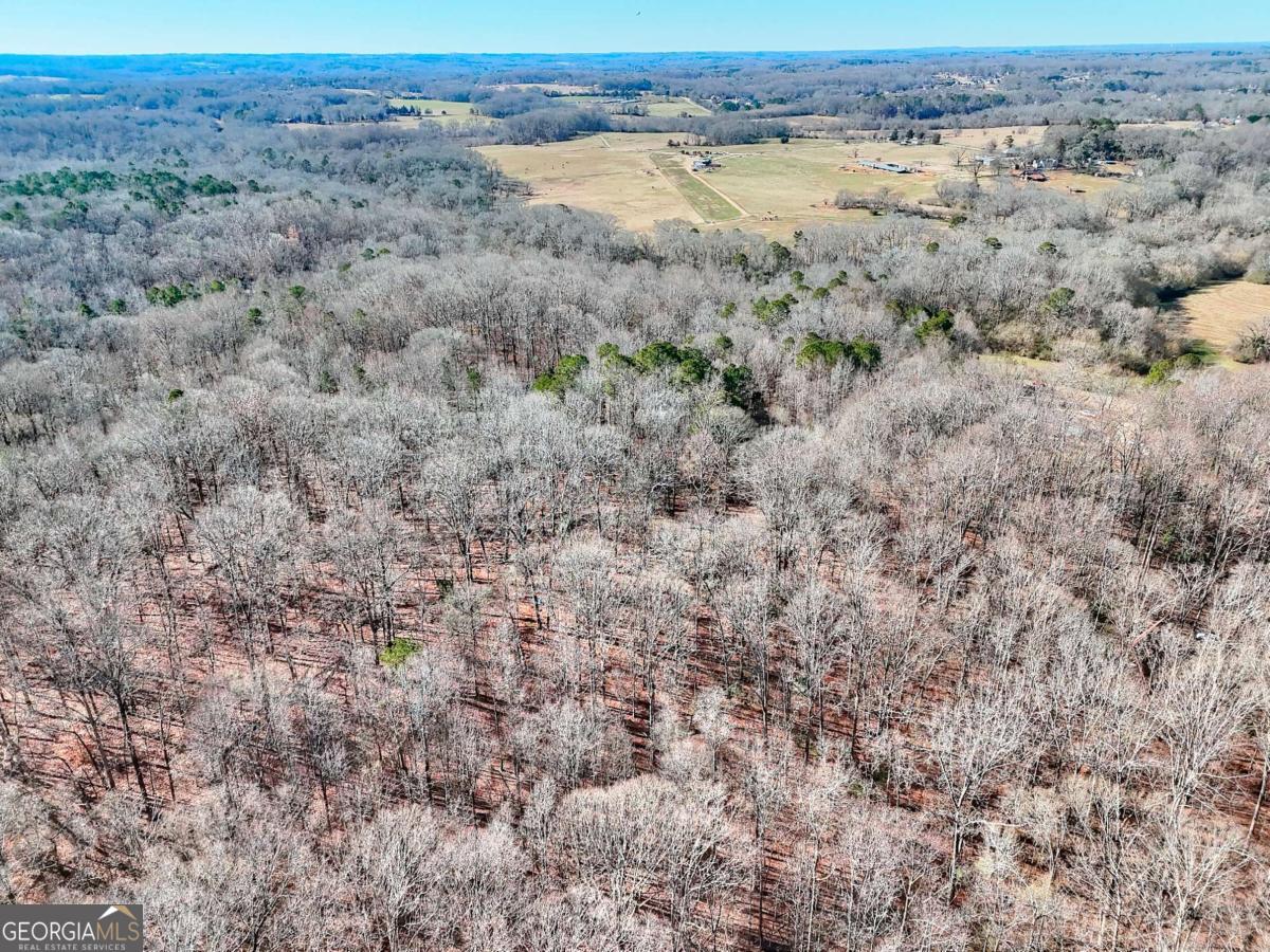 1268 Johnson Mill Road Jefferson, GA 30549 - Photo 26 of 28 a view of a field with an ocean view