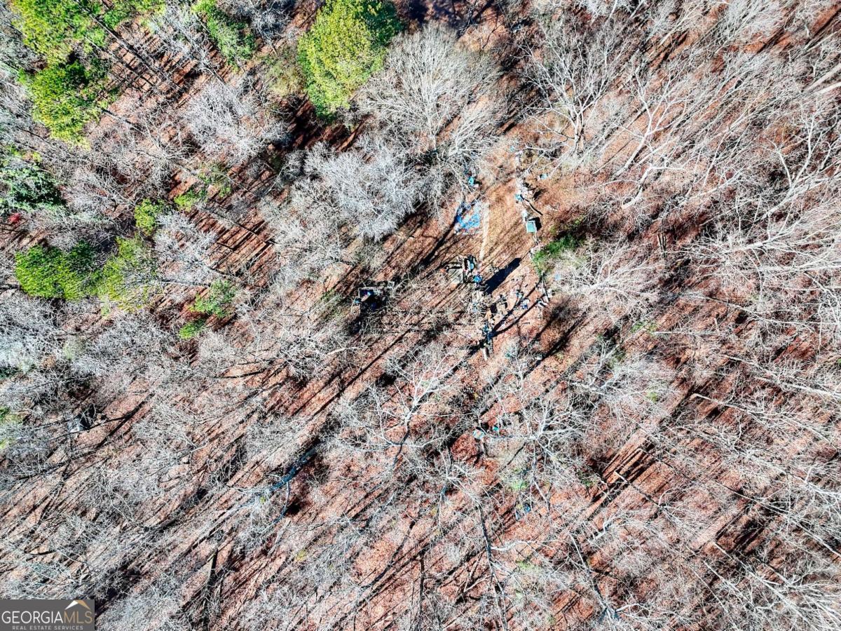 1268 Johnson Mill Road Jefferson, GA 30549 - Photo 27 of 28 a view of a dry yard with lots of bushes