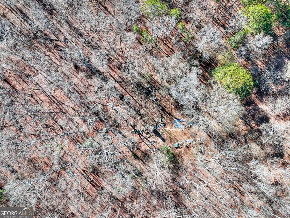 1268 Johnson Mill Road Jefferson, GA 30549 - Photo 28 of 28 a view of a forest with a tree