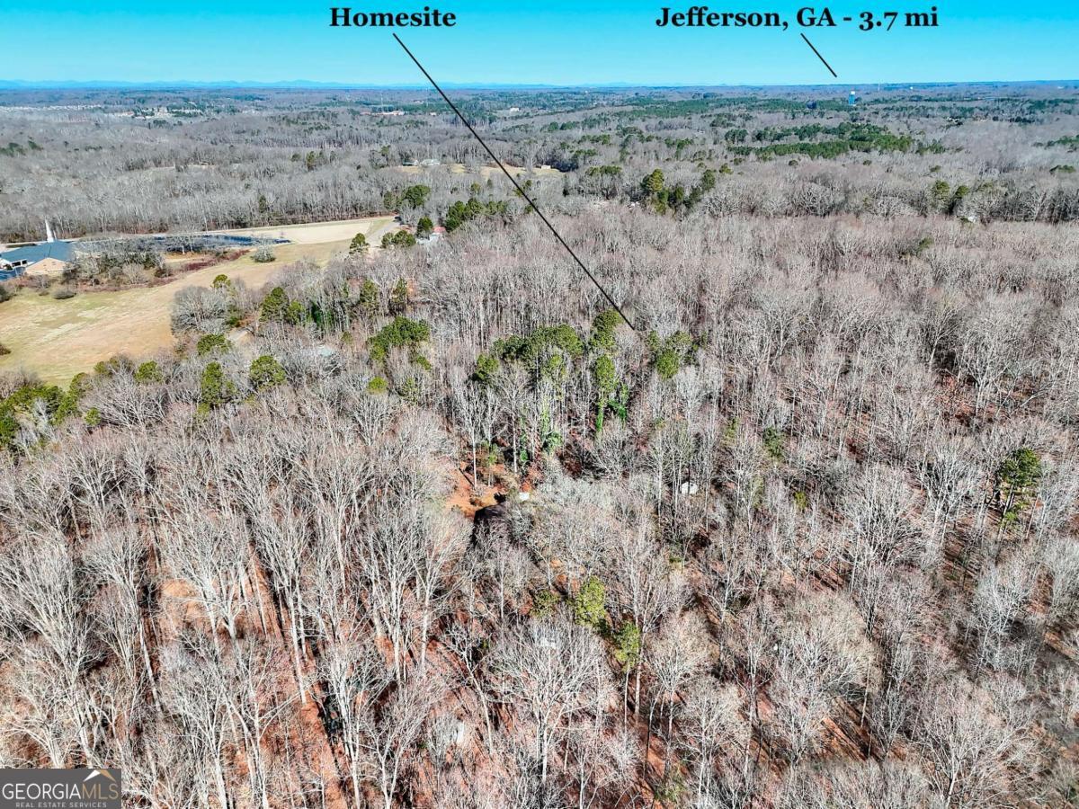 1268 Johnson Mill Road Jefferson, GA 30549 - Photo 3 of 28 a view of a dry yard