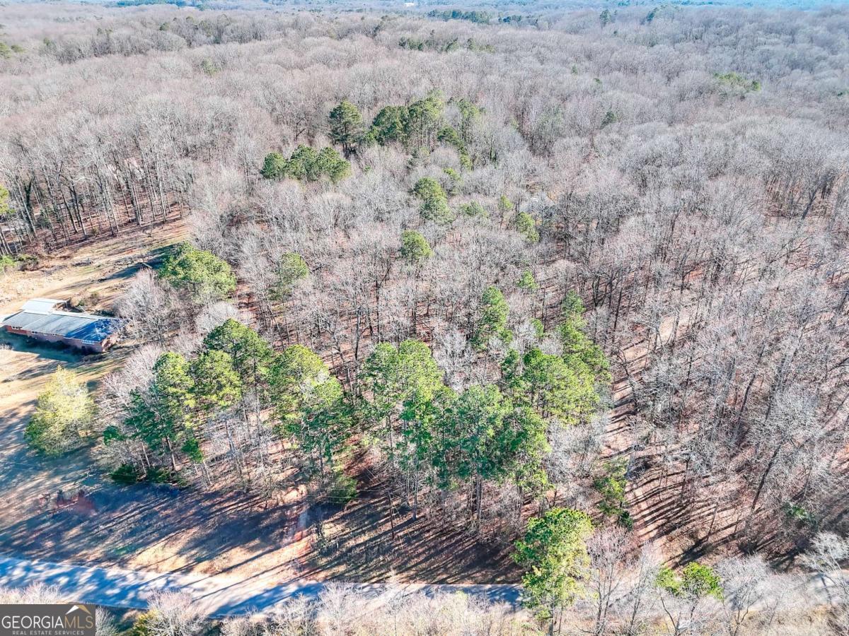 1268 Johnson Mill Road Jefferson, GA 30549 - Photo 6 of 28 a view of a dry yard