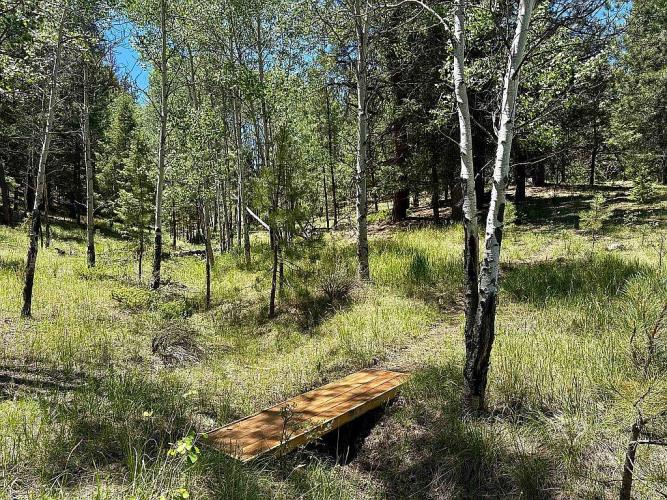 475 Sioux Road Florissant, CO 80816 - Photo 43 of 46
