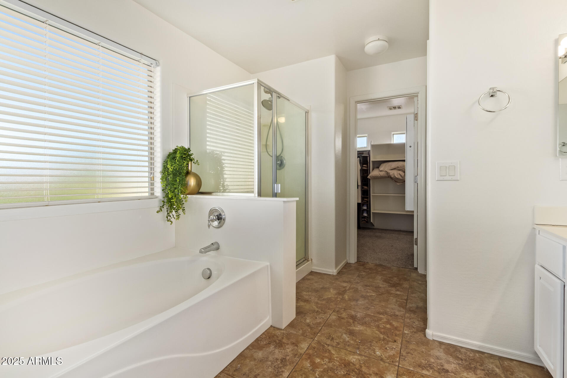 45360 West Desert Garden Road Maricopa, AZ 85139 - Photo 23 of 42 a bathroom with a bathtub and a shower