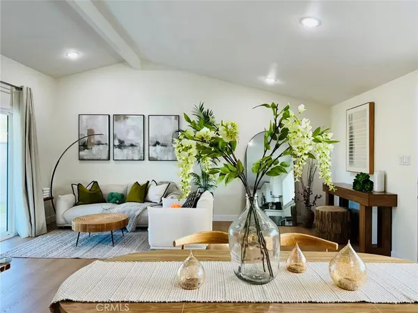a living room with furniture potted plant and a wooden floor