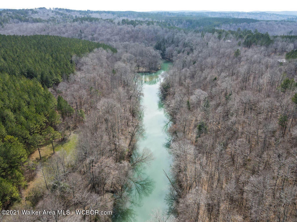 Lot#8 Turkey Bend Addison, AL 35540 - Photo 11 of 13 Gallery Image 11