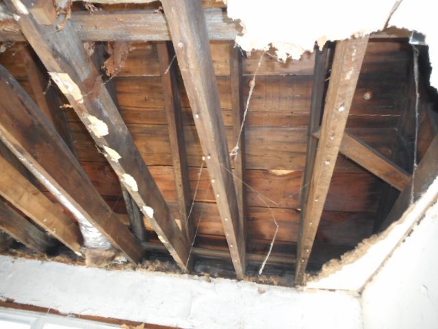 307 West Plainfield Road Countryside, IL 60525 - Photo 3 of 6