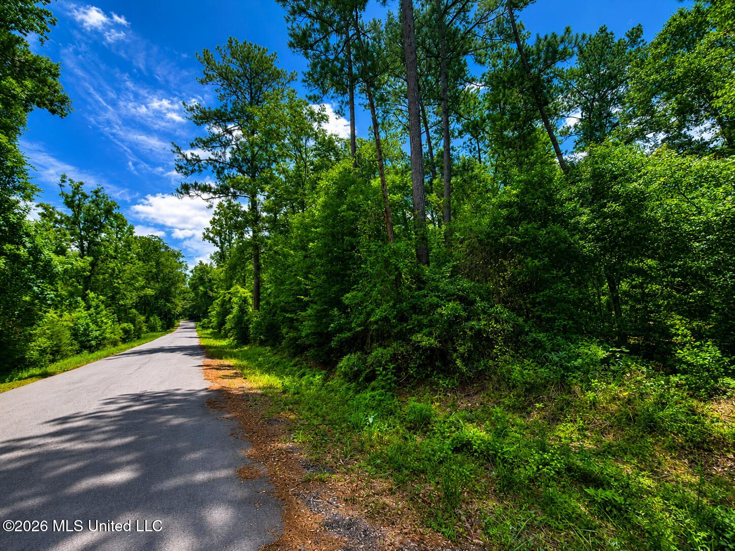 8.2-acres Breland Road McLain, MS 39456 - Photo 8 of 11 Land